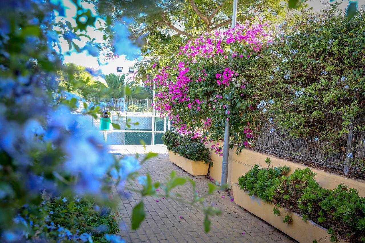 Montesol Home - Parking Gratis Ayamonte Zewnętrze zdjęcie